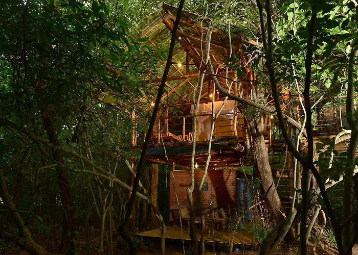 Back Of Beyond - Pidurangala