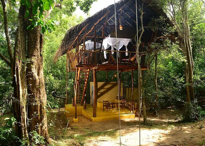Back Of Beyond - Pidurangala