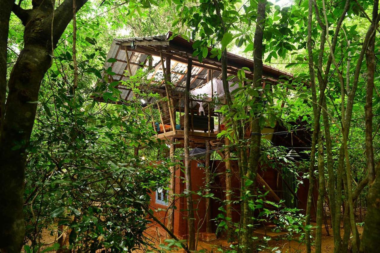 Back Of Beyond - Pidurangala Sigiriya