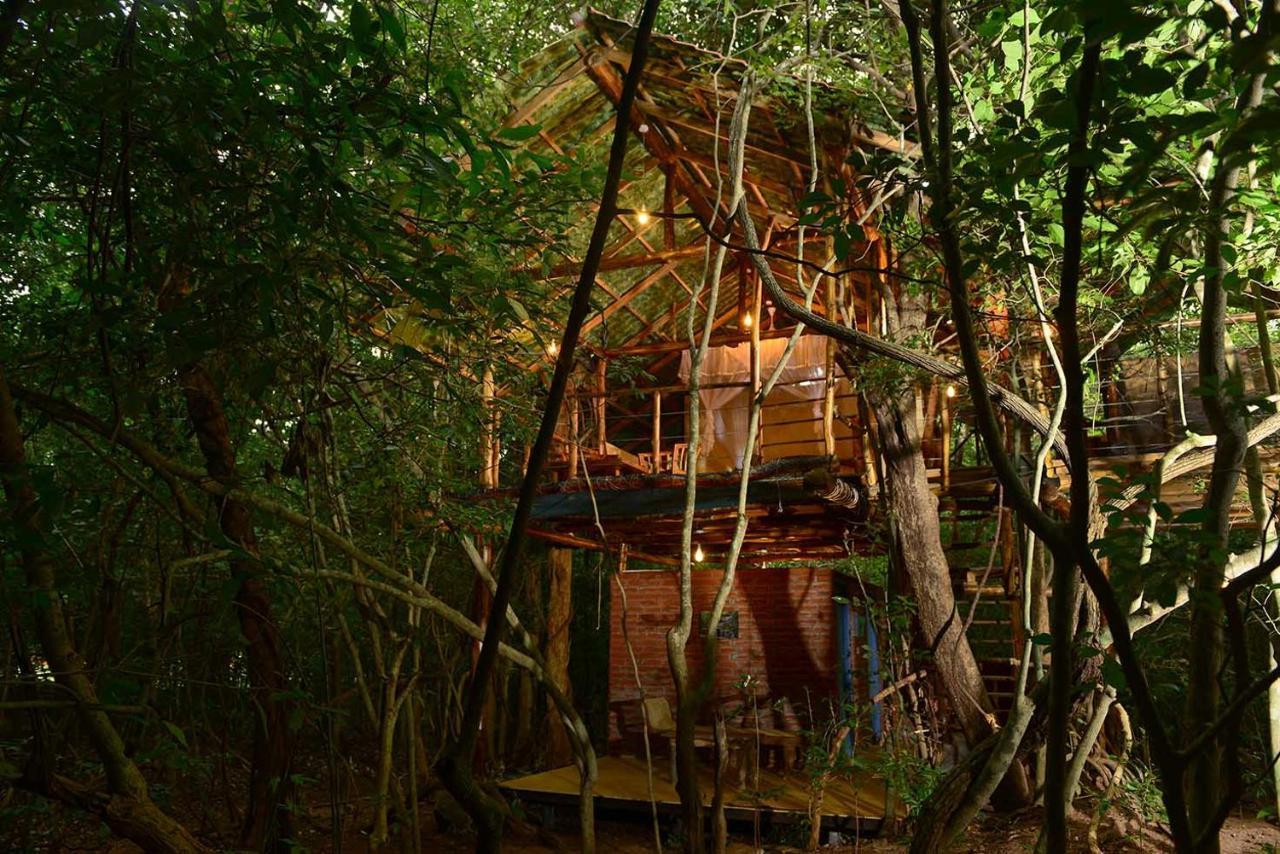 Lodge Back Of Beyond - Pidurangala *
