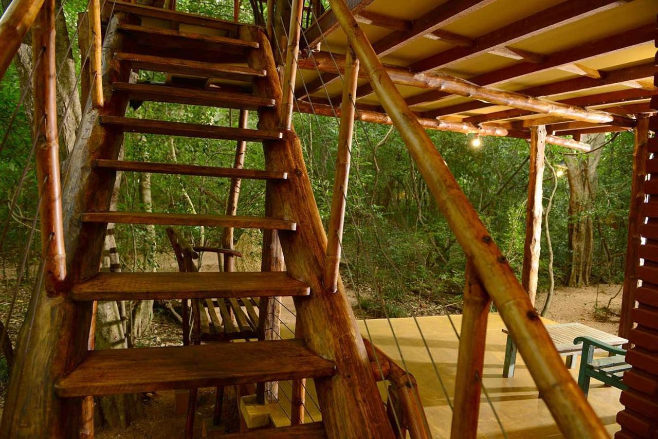 Back Of Beyond - Pidurangala Lodge Sigiriya