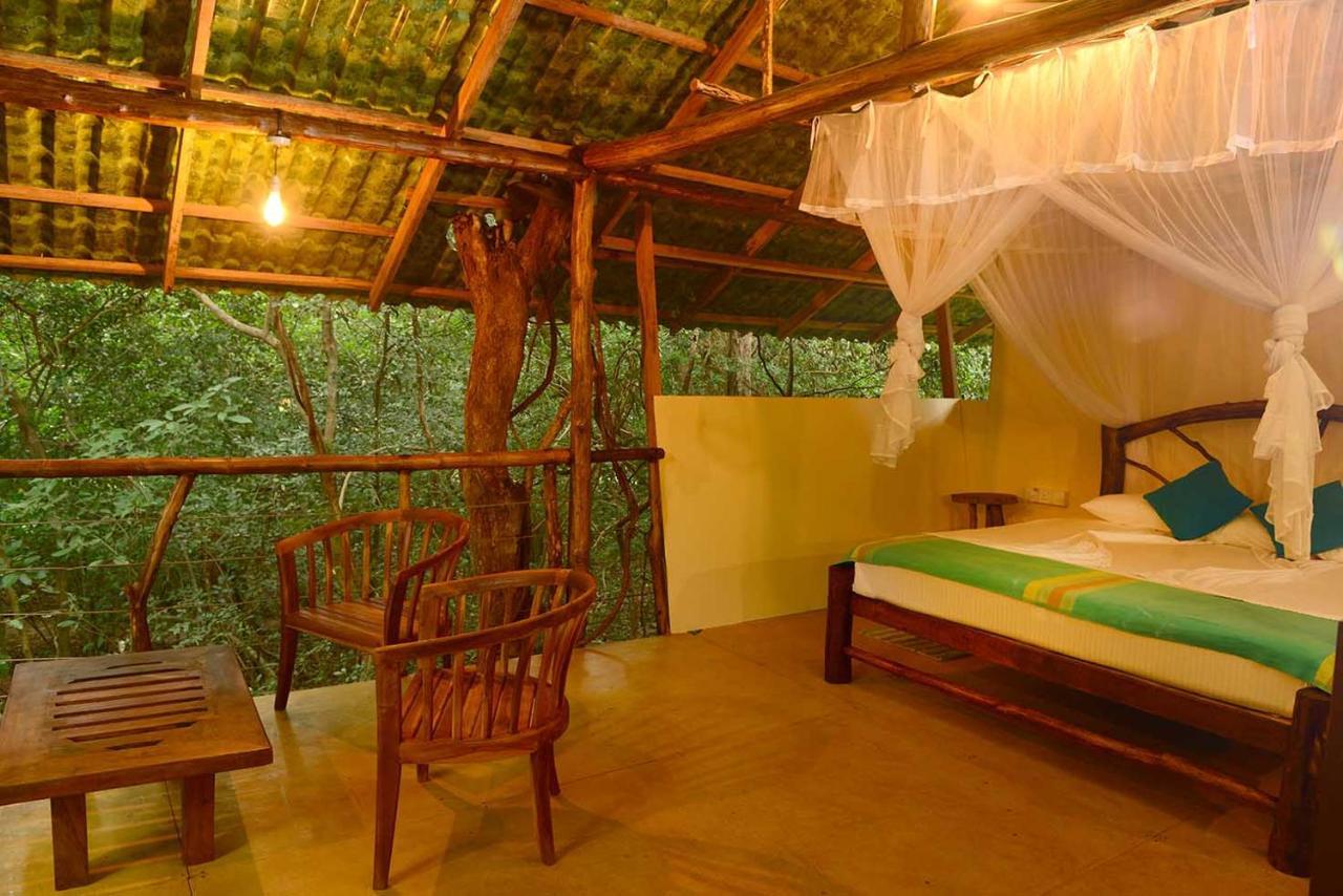 Back Of Beyond - Pidurangala Sigiriya
