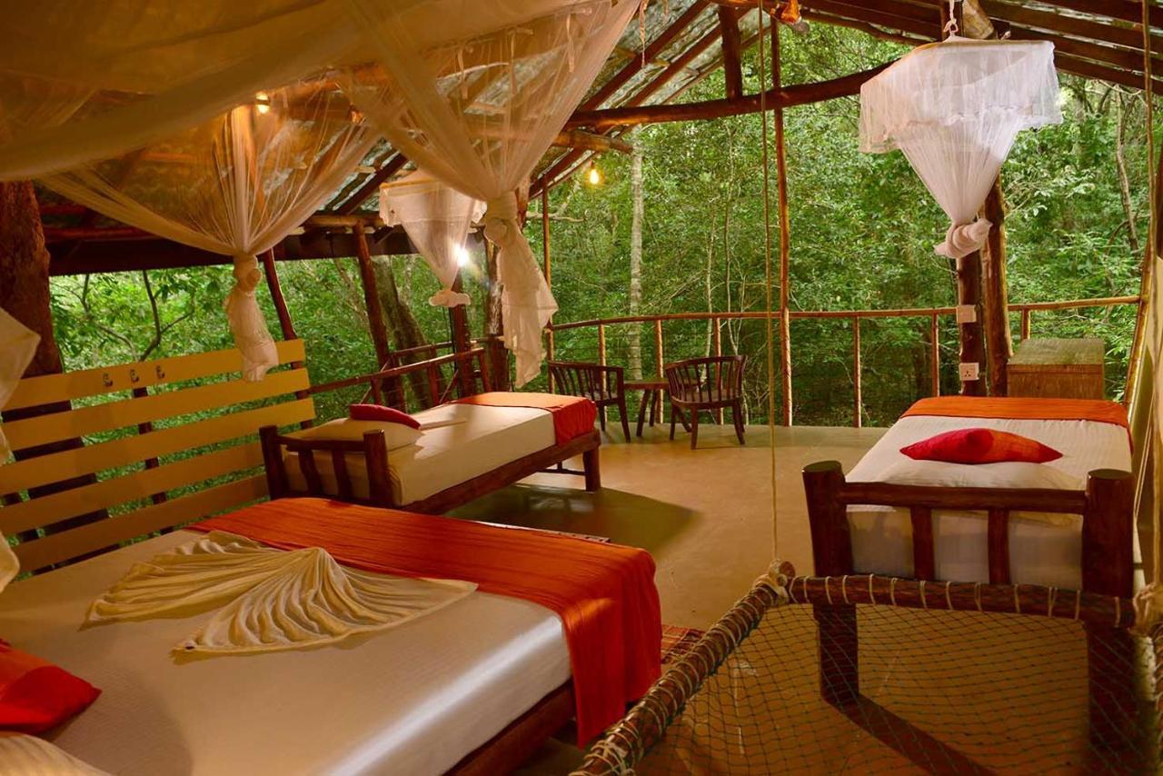 Lodge Back Of Beyond - Pidurangala *
