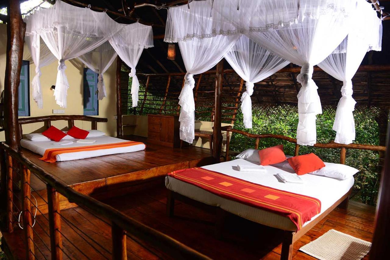 Back Of Beyond - Pidurangala Lodge