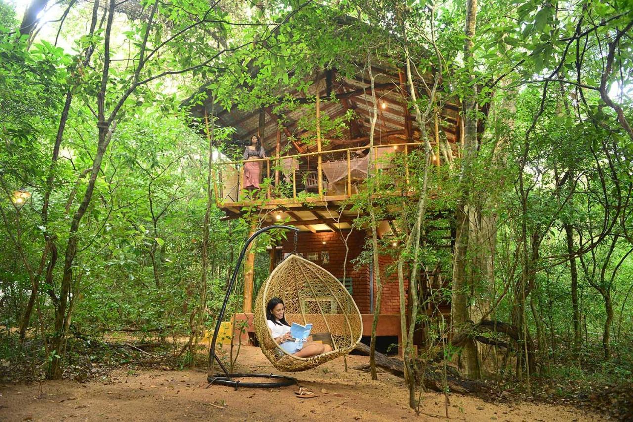 Back Of Beyond - Pidurangala Lodge *