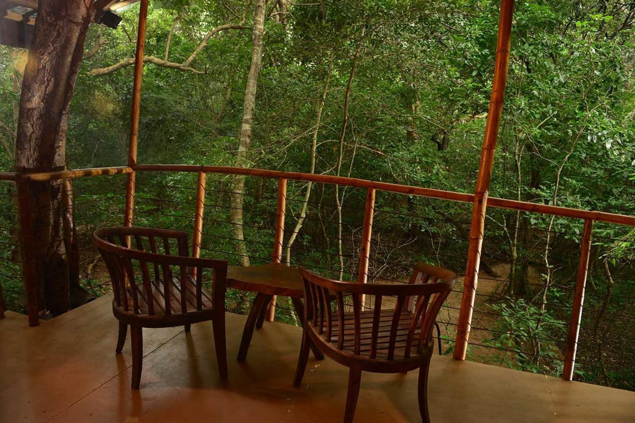 Lodge Back Of Beyond - Pidurangala *