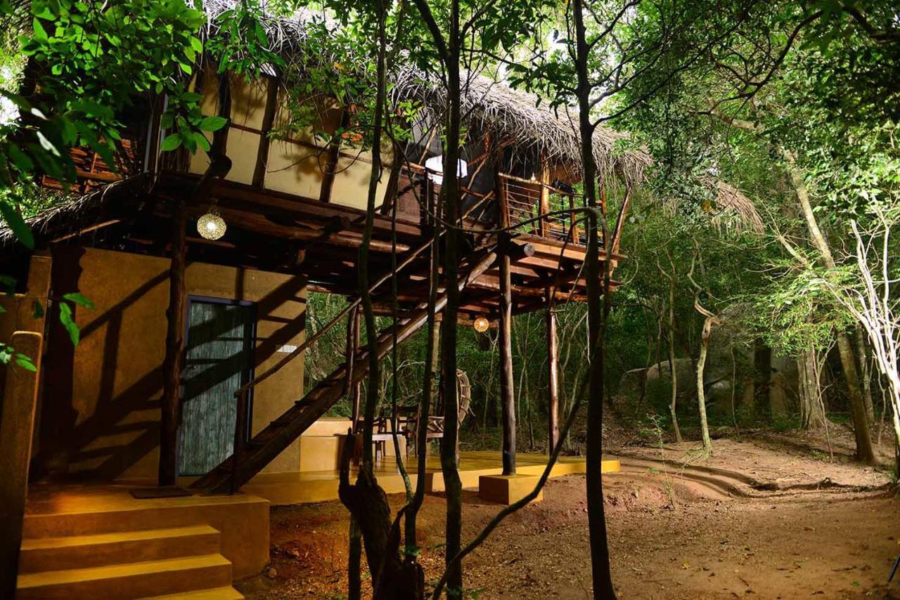 Back Of Beyond - Pidurangala Sigiriya